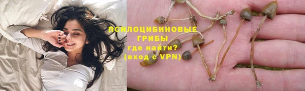 соль курить ск Заводоуковск