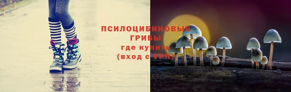 мет Ельня