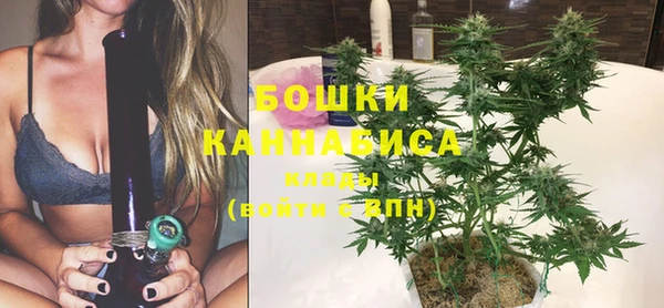 соль курить ск Заводоуковск