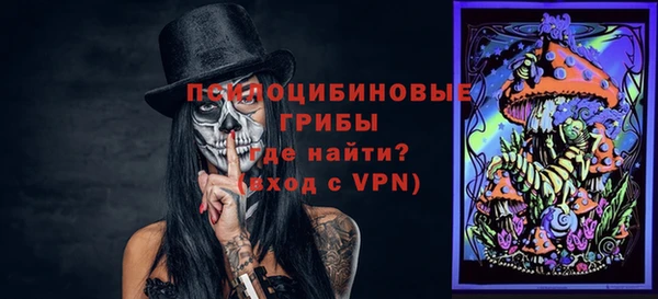 соль курить ск Заводоуковск